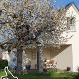 Ferienhaus Hummel-Nest