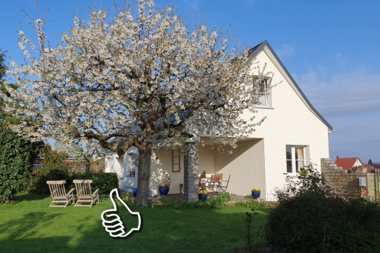 Ferienhaus Hummel-Nest