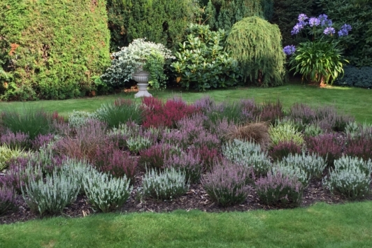 Ferienwohnung in Bispingen