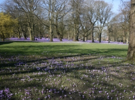 Turmhaus am Schloßpark Ferienhaus in Husum Herr Heinz Albus