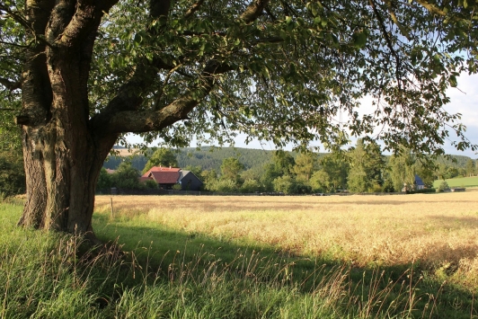 Ferienwohnungen Am Vogelherd Ferienwohnungen Am Vogelherd