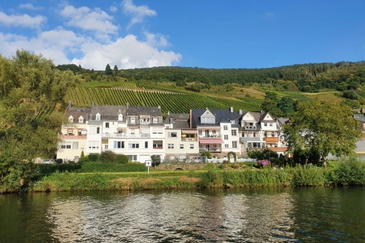 Waldecks Moselparadies