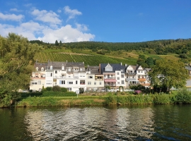 Vorschau 1